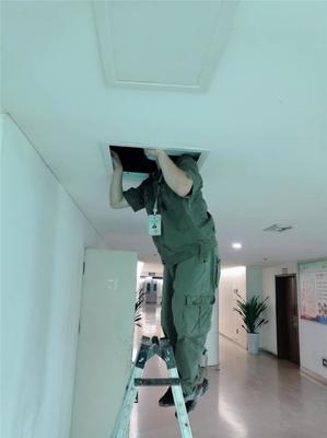 專業滅鼠，守護健康——廣漢工廠滅鼠服務咨詢與信息指南